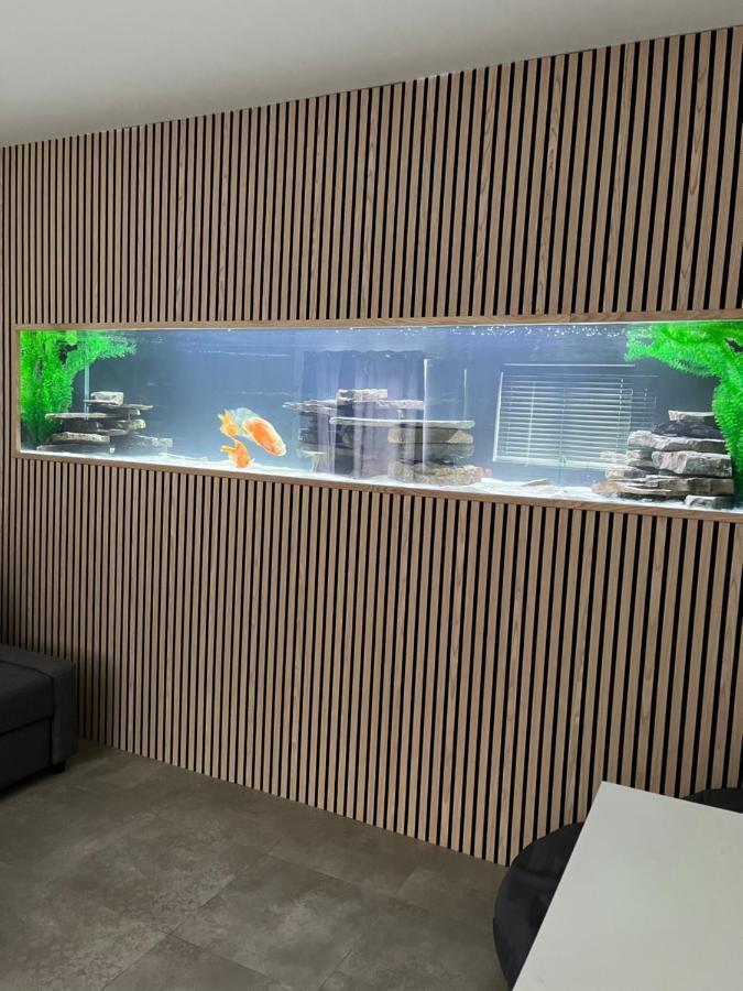 Terfyn Hall Aquarium Apartment 1 Prestatyn Dış mekan fotoğraf